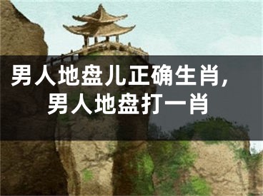 男人地盘儿正确生肖,男人地盘打一肖