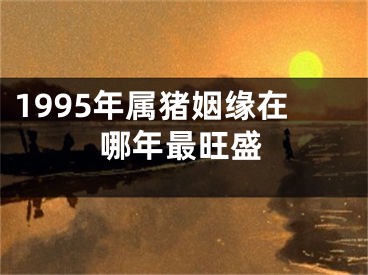 1995年属猪姻缘在哪年最旺盛