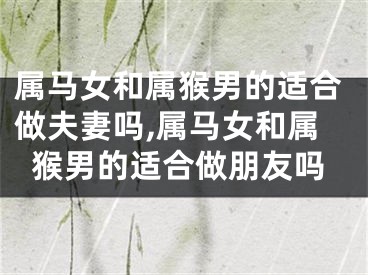 属马女和属猴男的适合做夫妻吗,属马女和属猴男的适合做朋友吗