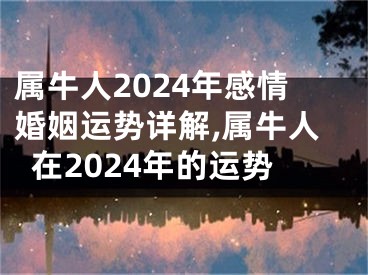 属牛人2024年感情婚姻运势详解,属牛人在2024年的运势