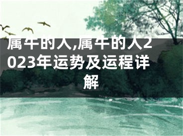 属牛的人,属牛的人2023年运势及运程详解