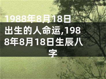 1988年8月18日出生的人命运,1988年8月18日生辰八字