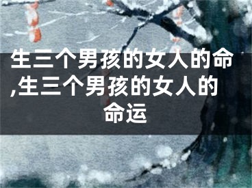 生三个男孩的女人的命,生三个男孩的女人的命运