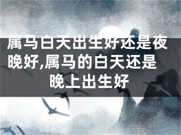 属马白天出生好还是夜晚好,属马的白天还是晚上出生好