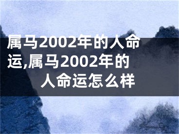 属马2002年的人命运,属马2002年的人命运怎么样