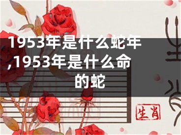 1953年是什么蛇年,1953年是什么命的蛇