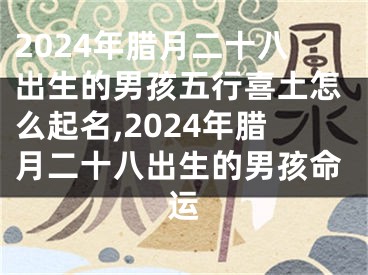 2024年腊月二十八出生的男孩五行喜土怎么起名,2024年腊月二十八出生的男孩命运