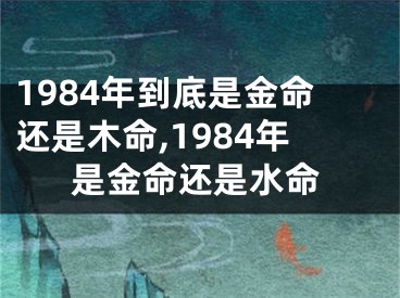 1984年到底是金命还是木命,1984年是金命还是水命