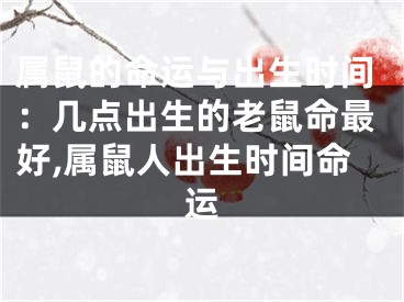 属鼠的命运与出生时间：几点出生的老鼠命最好,属鼠人出生时间命运