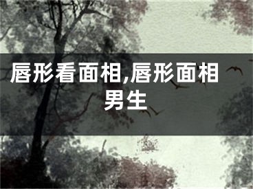 唇形看面相,唇形面相男生