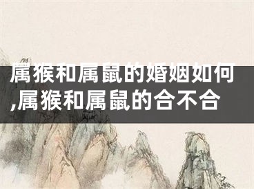 属猴和属鼠的婚姻如何,属猴和属鼠的合不合