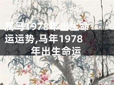 属马1978年出生命运运势,马年1978年出生命运