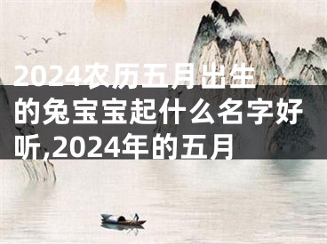 2024农历五月出生的兔宝宝起什么名字好听,2024年的五月