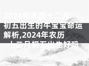 2024年农历十二月初五出生的牛宝宝命运解析,2024年农历十二月初五出生好吗
