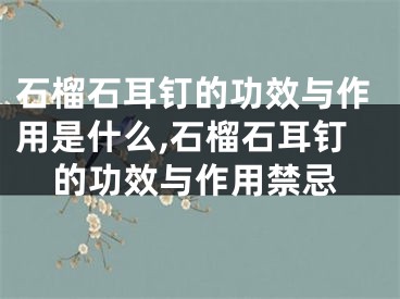 石榴石耳钉的功效与作用是什么,石榴石耳钉的功效与作用禁忌