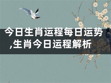 今日生肖运程每日运势,生肖今日运程解析