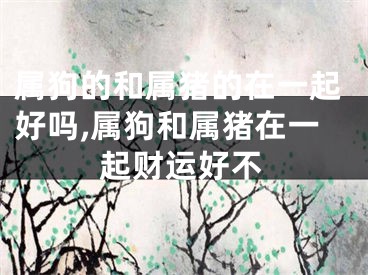 属狗的和属猪的在一起好吗,属狗和属猪在一起财运好不