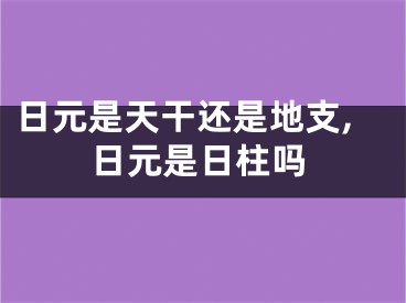 日元是天干还是地支,日元是日柱吗