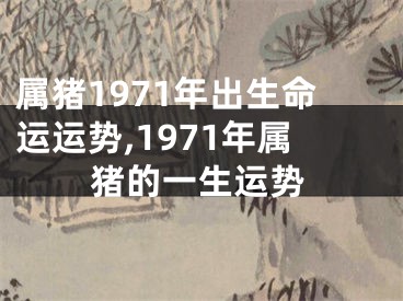 属猪1971年出生命运运势,1971年属猪的一生运势