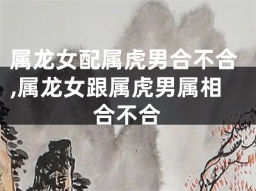 属龙女配属虎男合不合,属龙女跟属虎男属相合不合