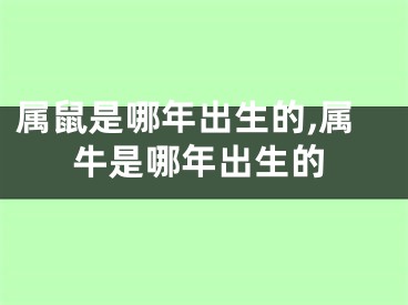 属鼠是哪年出生的,属牛是哪年出生的