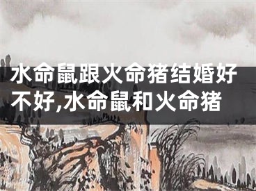 水命鼠跟火命猪结婚好不好,水命鼠和火命猪