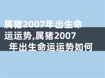 属猪2007年出生命运运势,属猪2007年出生命运运势如何