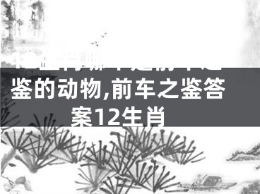 12生肖哪个是前车之鉴的动物,前车之鉴答案12生肖