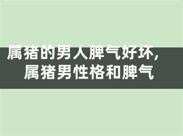 属猪的男人脾气好坏,属猪男性格和脾气