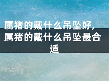 属猪的戴什么吊坠好,属猪的戴什么吊坠最合适