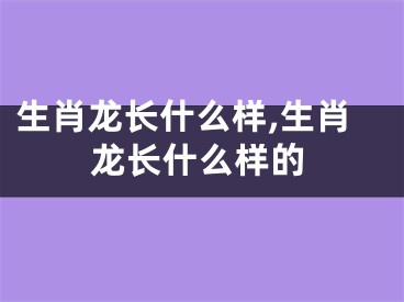 生肖龙长什么样,生肖龙长什么样的