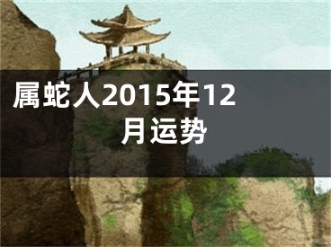 属蛇人2015年12月运势