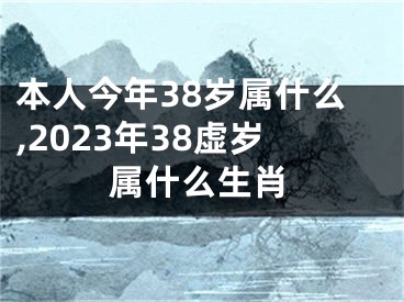 本人今年38岁属什么,2023年38虚岁属什么生肖