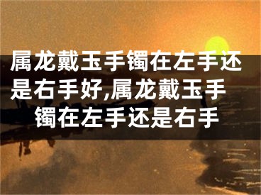 属龙戴玉手镯在左手还是右手好,属龙戴玉手镯在左手还是右手