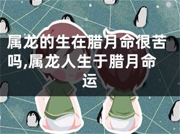 属龙的生在腊月命很苦吗,属龙人生于腊月命运