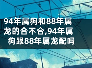 94年属狗和88年属龙的合不合,94年属狗跟88年属龙配吗