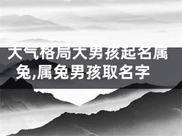 大气格局大男孩起名属兔,属兔男孩取名字