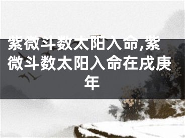 紫微斗数太阳入命,紫微斗数太阳入命在戌庚年