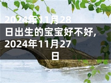 2024年11月28日出生的宝宝好不好,2024年11月27日