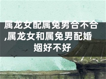 属龙女配属兔男合不合,属龙女和属兔男配婚姻好不好