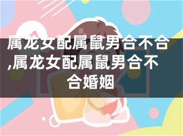 属龙女配属鼠男合不合,属龙女配属鼠男合不合婚姻