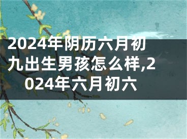 2024年阴历六月初九出生男孩怎么样,2024年六月初六