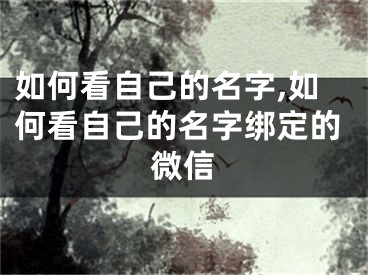 如何看自己的名字,如何看自己的名字绑定的微信