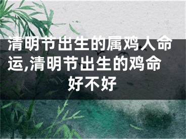 清明节出生的属鸡人命运,清明节出生的鸡命好不好