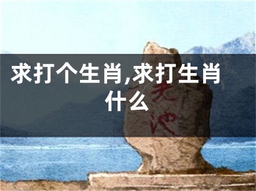 求打个生肖,求打生肖什么