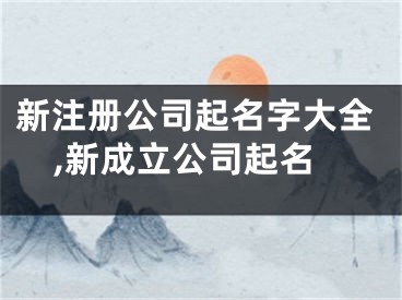 新注册公司起名字大全,新成立公司起名
