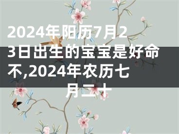2024年阳历7月23日出生的宝宝是好命不,2024年农历七月二十
