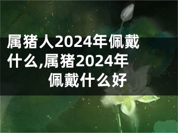 属猪人2024年佩戴什么,属猪2024年佩戴什么好