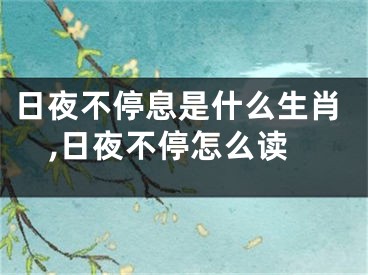 日夜不停息是什么生肖,日夜不停怎么读