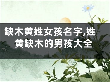缺木黄姓女孩名字,姓黄缺木的男孩大全